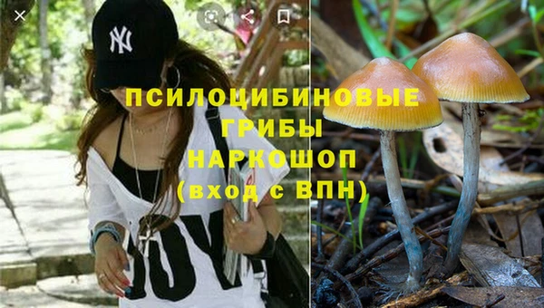 apvp Краснотурьинск