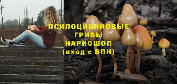 марки lsd Краснослободск