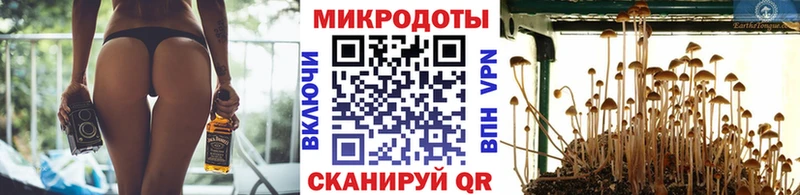 Галлюциногенные грибы Psilocybe  цена   Олонец 